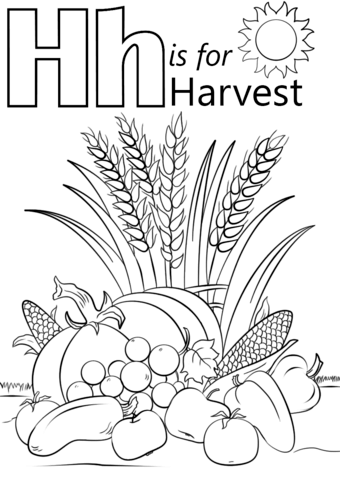 Letter H Is For Harvest Coloring Page